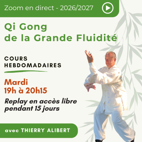 Qi Gong hebdomadaire (mardi)