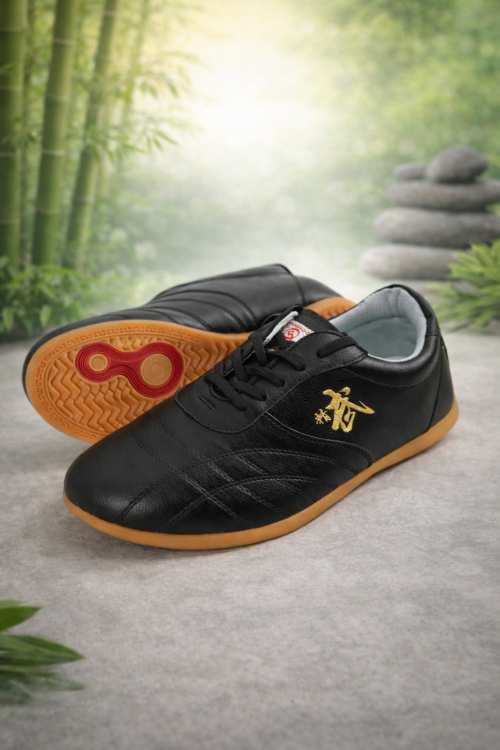 Chaussures Taolu «Wu»