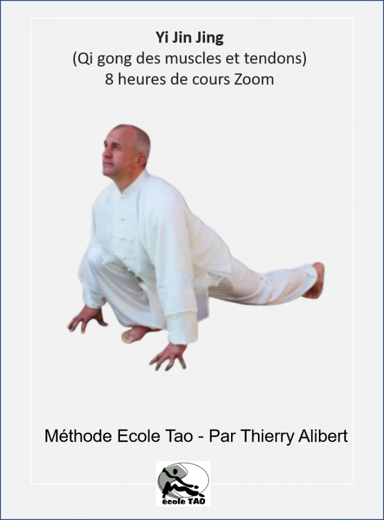 (Replay Zoom) Yi Jin Jing (Qi gong des muscles et tendons)