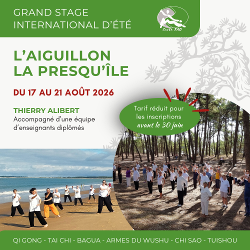 Grand stage internationnal d'été de l'École TAO 2026