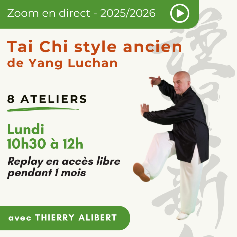 Taiji ancien