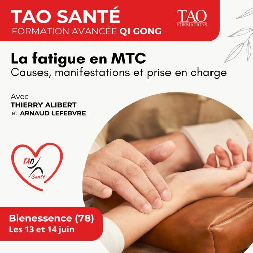 Module avancé Qi Gong – TAO Santé – (4)