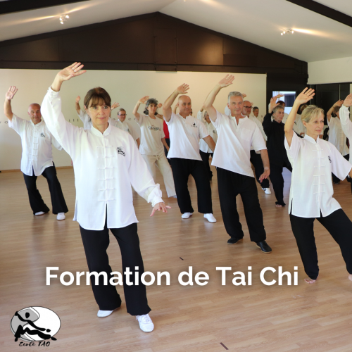 Stage d'été - Module de formation Tai Chi