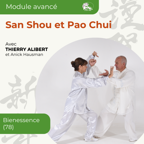 Module avancé San Shou et Pao Chui