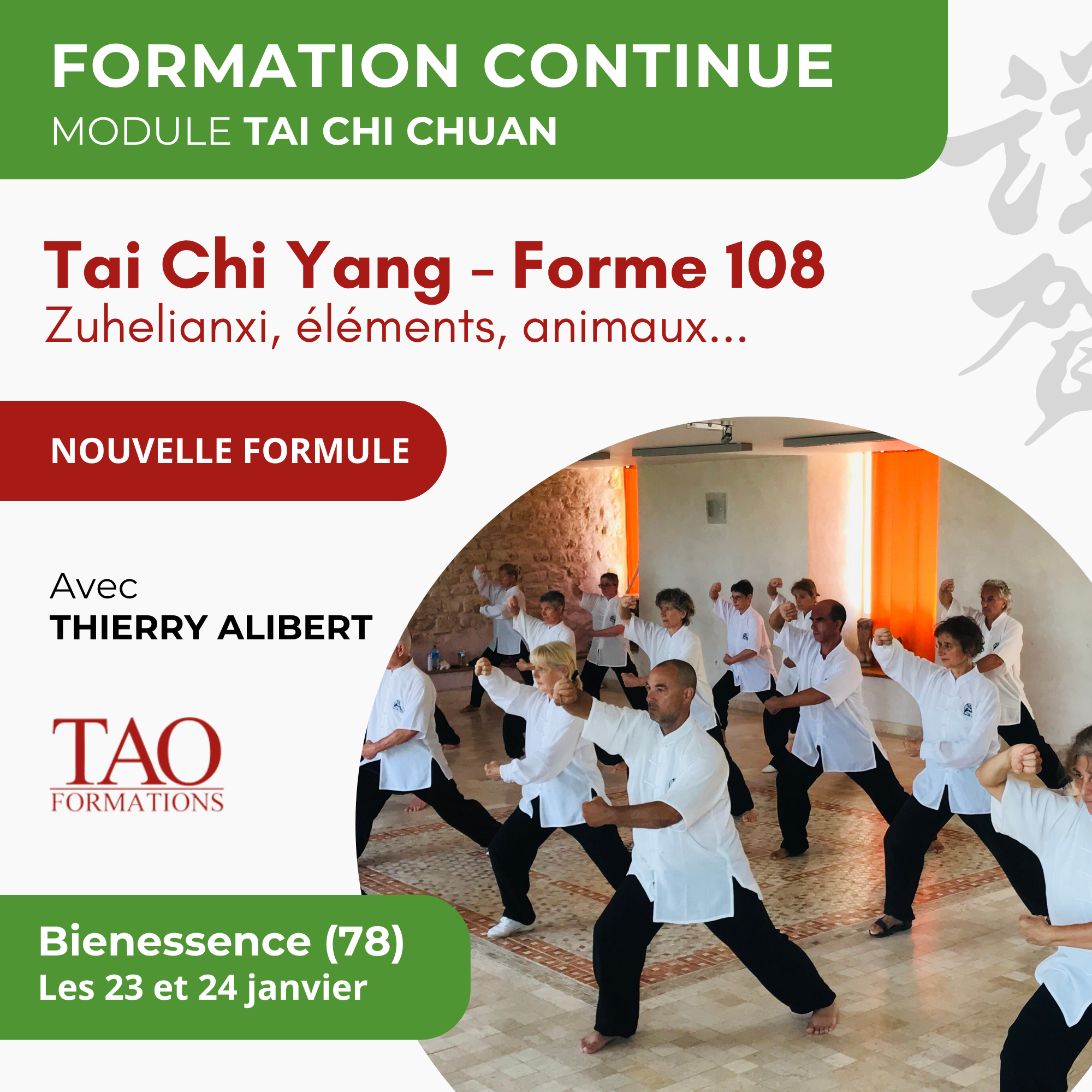 Stage 23-24 janvier 2027 — TC Yang 108 avancé — Bienessence