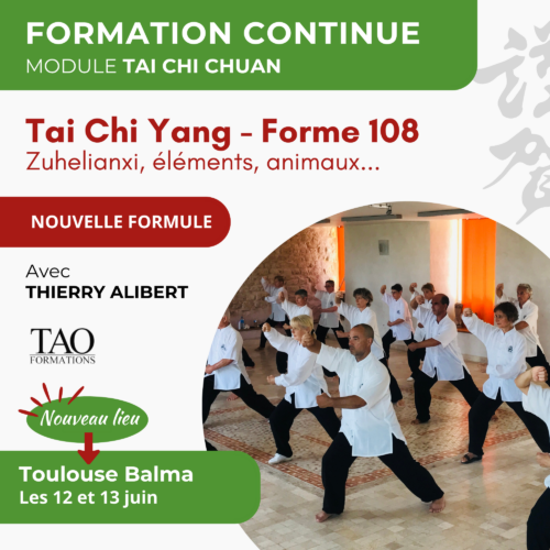 Stage 12-13 juin 2027 — TC Yang 108 avancé — Toulouse