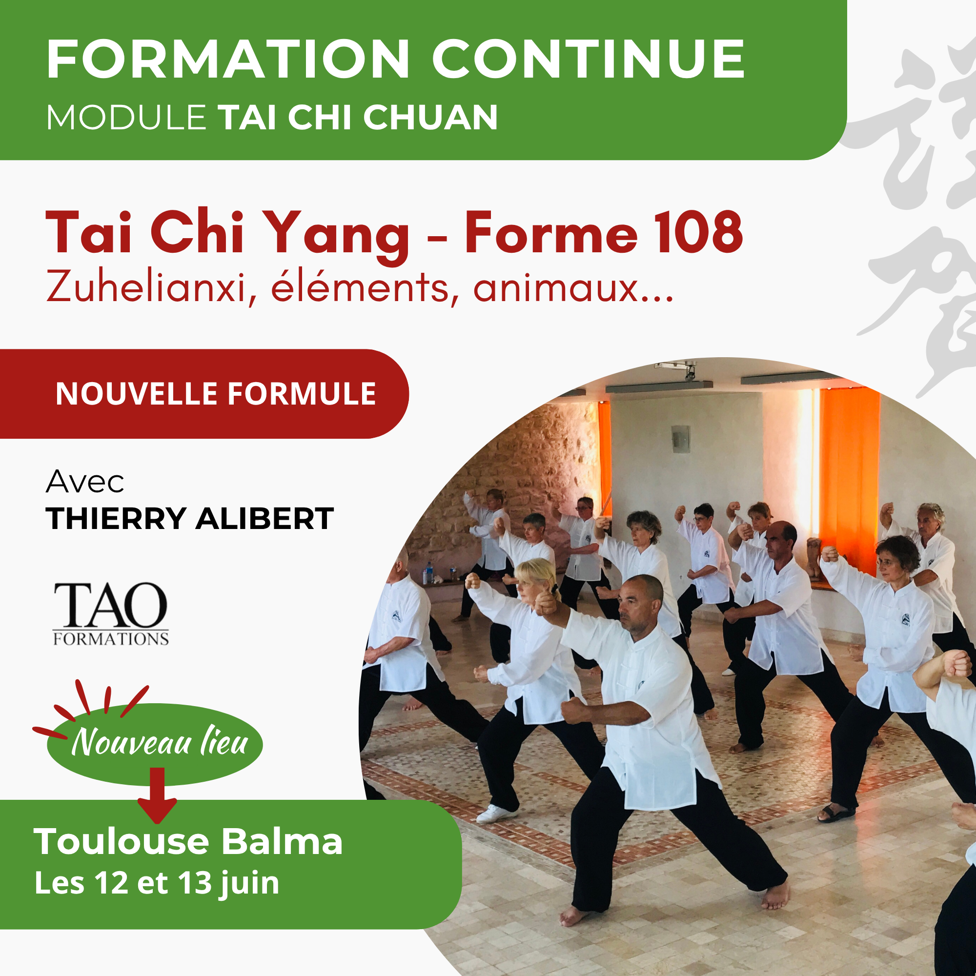 Stage 12-13 juin 2027 — TC Yang 108 avancé — Toulouse