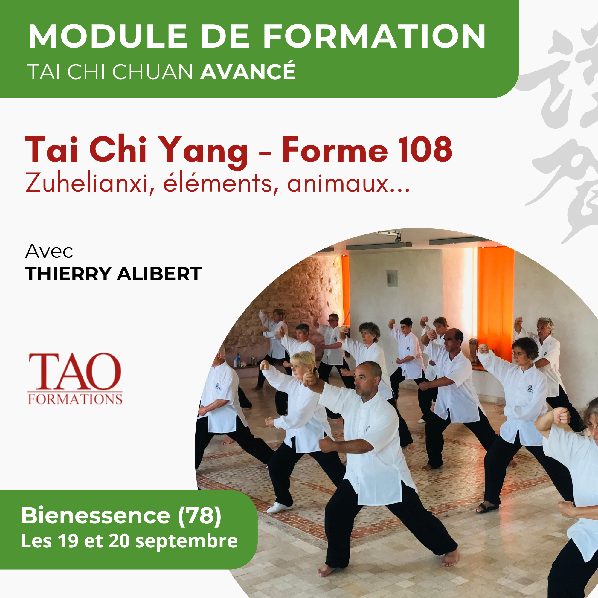 Stage 19-20 sept 2026 — TC Yang 108 avancé — Bienessence