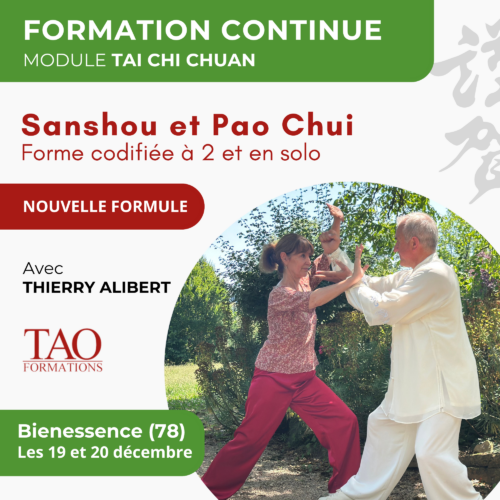 Stage 19-20 décembre 2026 — Sanshou & Pao Chui — Bienessence