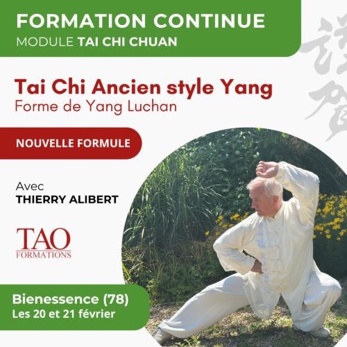 Stage 20-21 février 2027 — TC Yang ancien — Bienessence