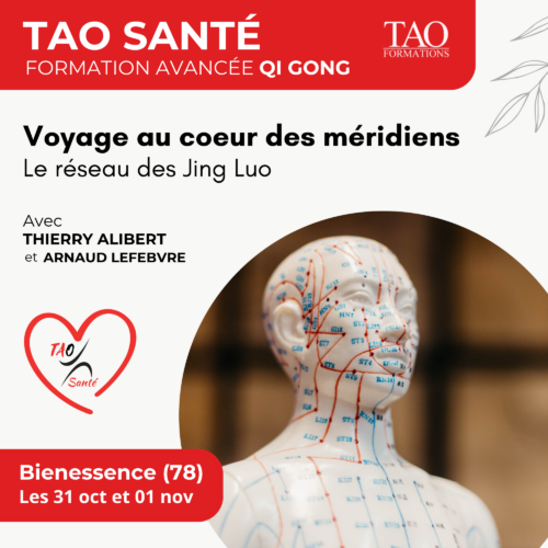 Voyage au cœur des méridiens – Le réseau Jing Luo