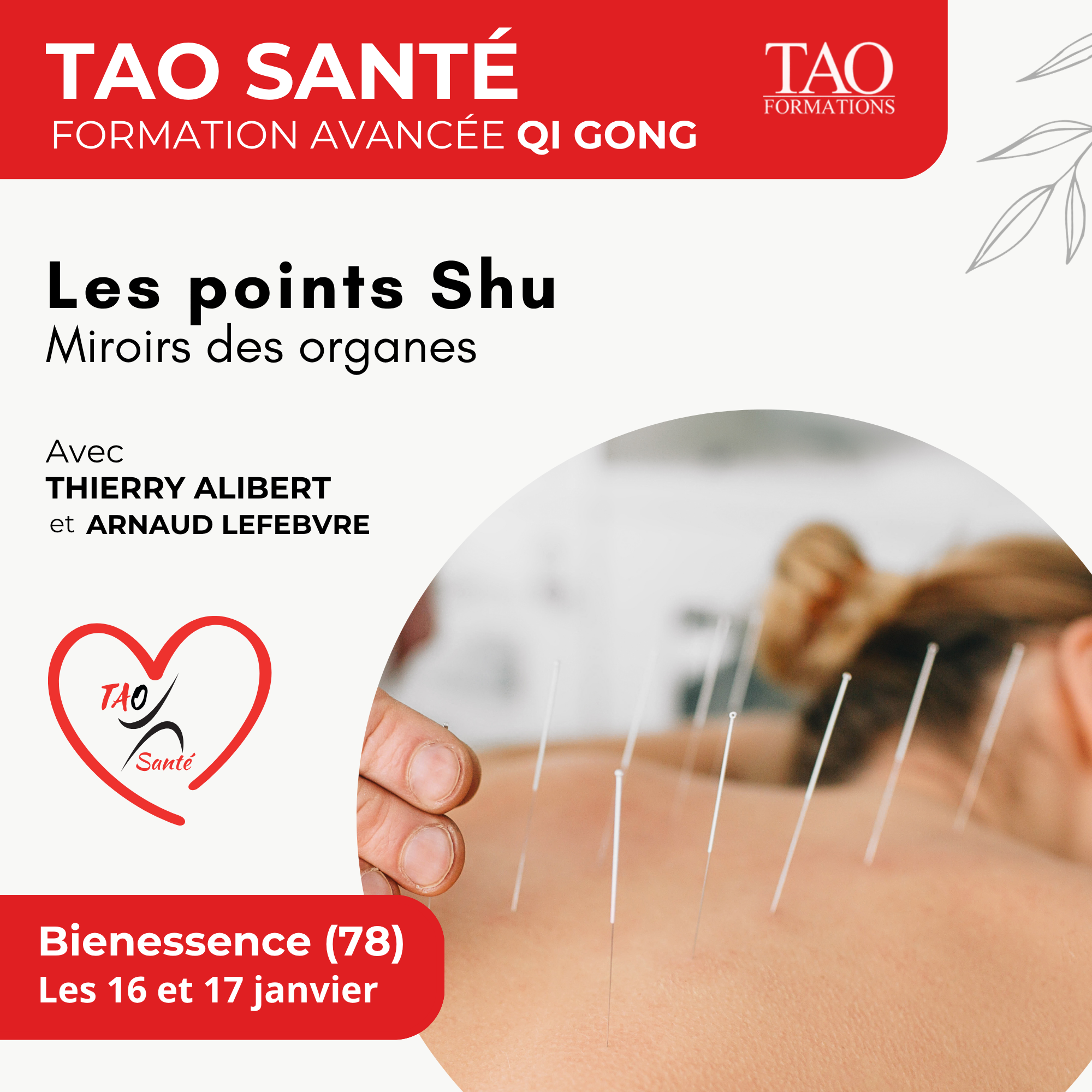 Les points Shu – Miroir des organes