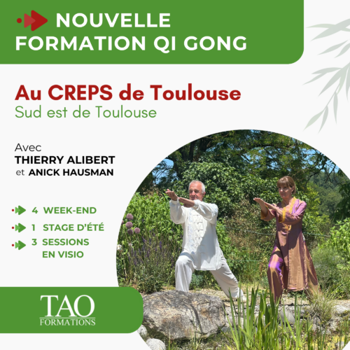Formation Qi Gong Toulouse